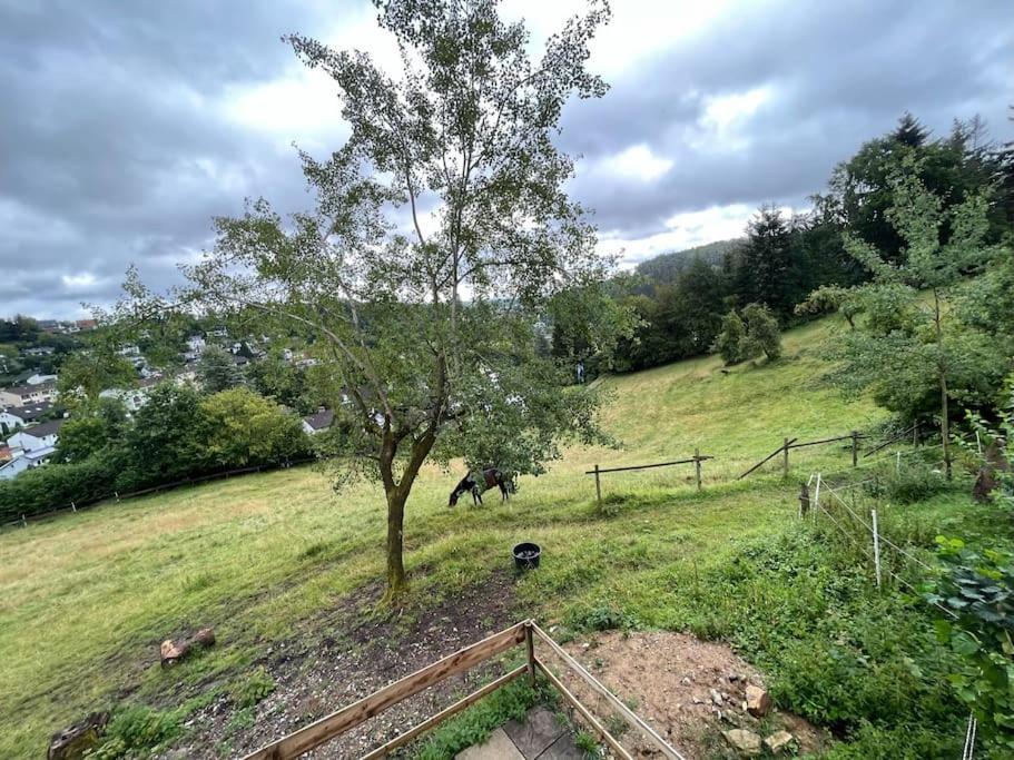 Altes Bauernhaus In Der Natur Detmold Bagian luar foto